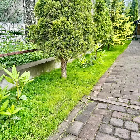 Krasnowolska Airport *